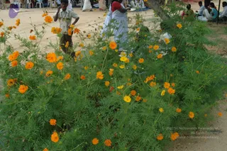 July 07 2009