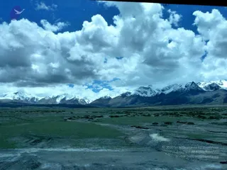 August 06 2011