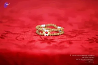 2011 PhotoAbum galleria 7598 CMP WM.jpg