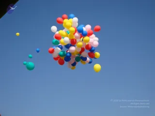 December 30 2008