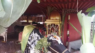 Jan 15 2022 sripuram