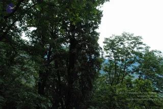 July 07 2008