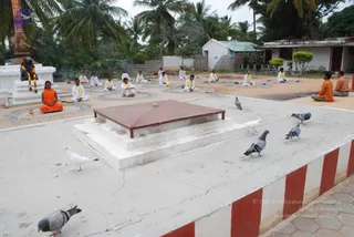July 08 2010