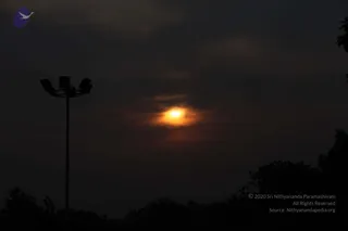 February 06 2010
