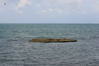 April 29 2018
