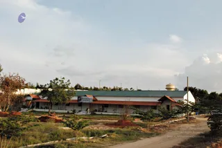 November 20 2008
