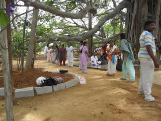 February 23 2008