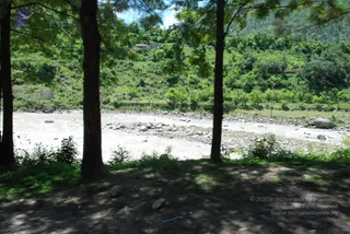 July 02 2008