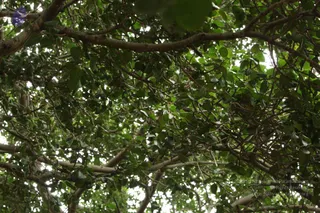 September 05 2009