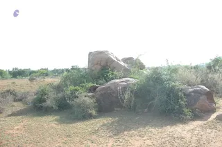 1978 - Tiruvannamalai - InnerGirivala