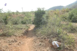 1978 - Tiruvannamalai - InnerGirivala