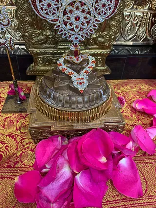 Photo 8288789
