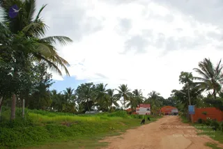 August 10 2011