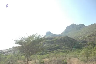 1978 - Tiruvannamalai - InnerGirivala