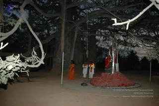 February 25th 2007