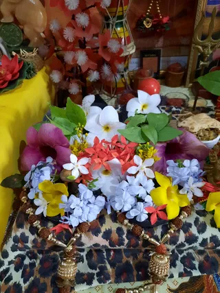 KAILASA SAN FERNANDO, TRINIDAD & TOBAGO on 9/17/2022