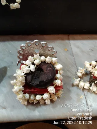 Photo 8288854