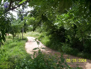 August 28 2004
