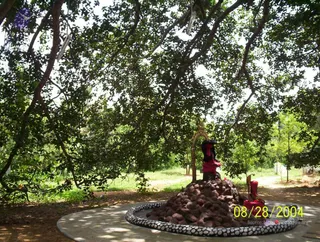 100_0529_CMP_WM