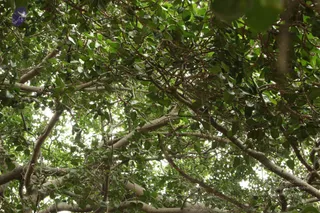 September 05 2009