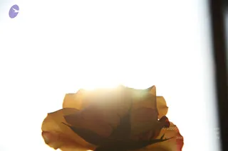 October 03 2014