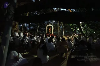 December 07 2010