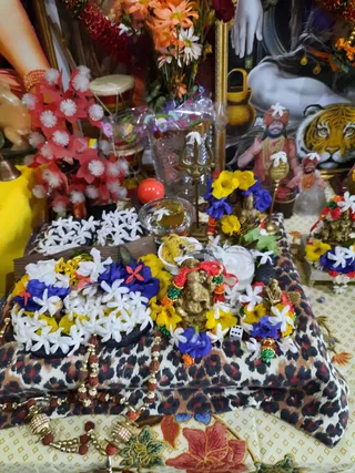 Photo 8288926