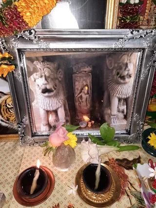 Photo 8288930