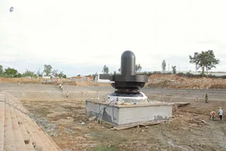 November 19 2008
