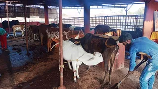 December 29 2021 sripuram