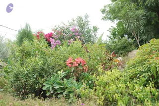 July 08 2010