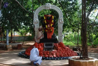 August 08 2010