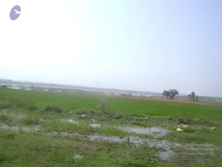 September 2006 - Sindhanur flood relief