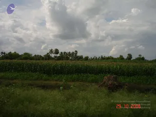 October 29 2006