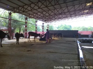 May 01 2022