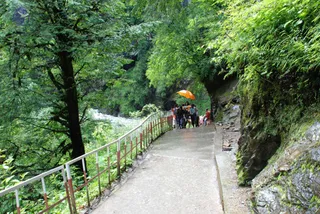 June 30 2008