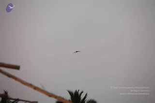 January 22 2010