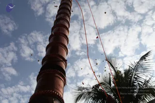October 18 2010
