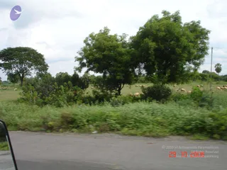 October 29 2006