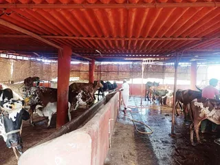 Jan 15 2022 sripuram