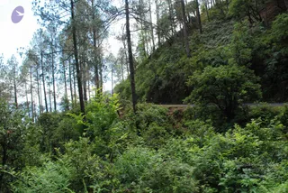 July 02 2008