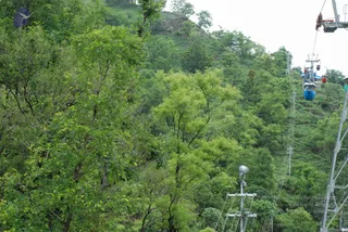 July 10 2008