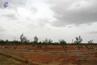 July 14 2009