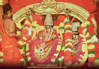November 15 2021