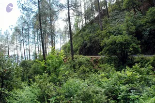 July 01 2008