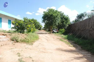 August 29 2009