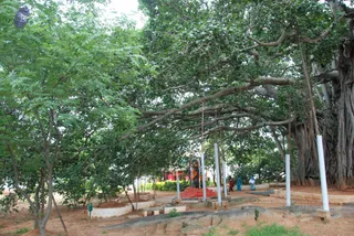 September 07 2009