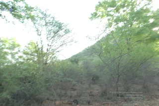 1978 - Tiruvannamalai - InnerGirivala