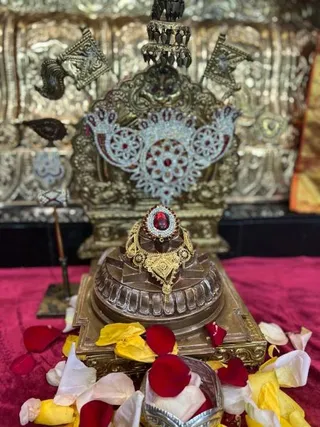KAILASA HOUSTON, USA on 1/26/2022