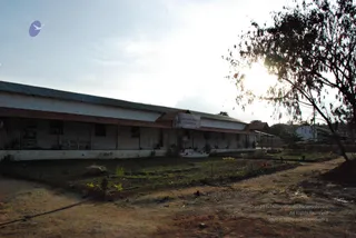 November 20 2008